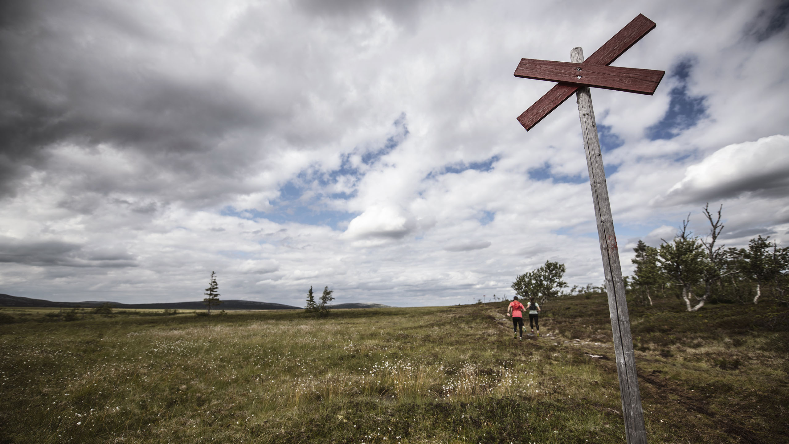Fjällöpning i Storhogna