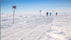 Längdskidåkning i fina skidspår på kalfjället i Storhogna